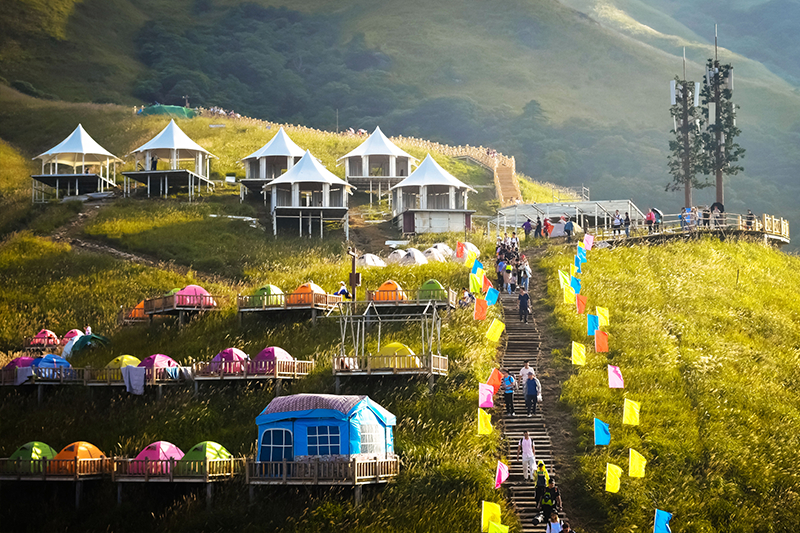 露營項目 露營項目