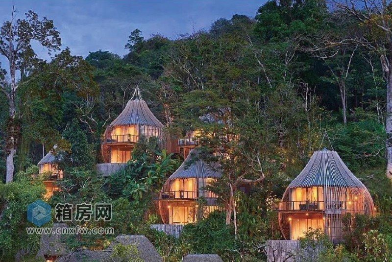 樹屋民宿 樹屋民宿